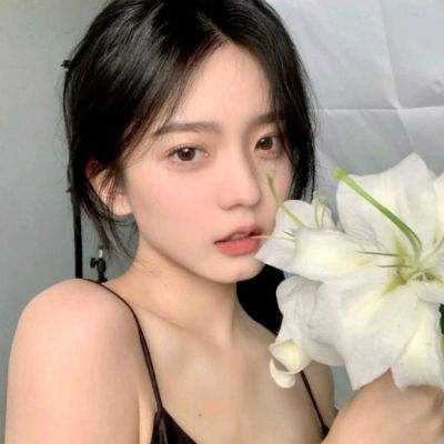 回到月球破解版下载